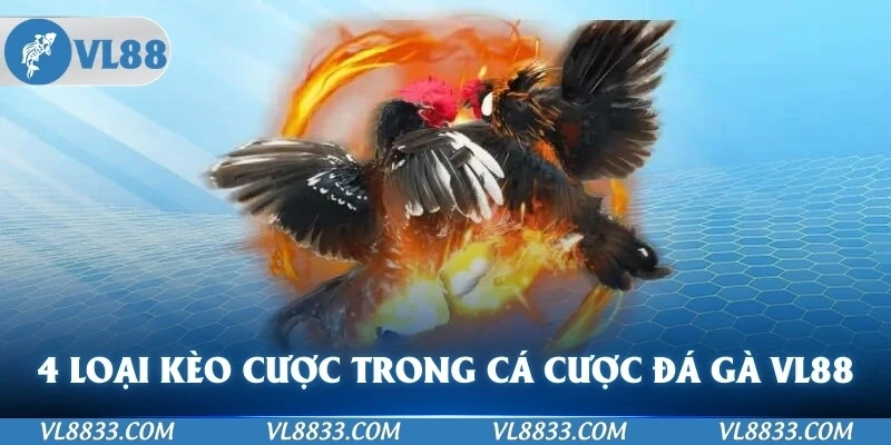4 loại cược trong môn cá cược đá gà VL88