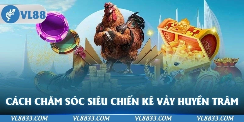Cách chăm sóc các siêu chiến kê có vảy gà huyền trâm