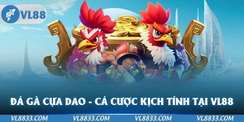 Đá Gà Cựa Dao - Trải Nghiệm Cá Cược Kịch Tính Tại VL88
