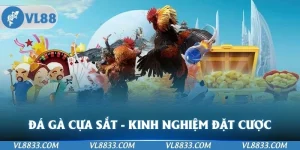 đá gà cựa sắt - Kinh Nghiệm Đặt Cược Bất Bại