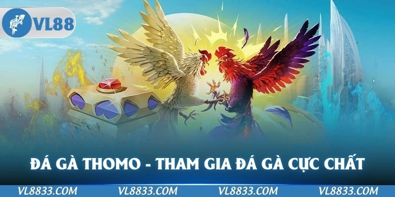 Đá Gà Thomo - Tham Gia Đá Gà Cực Chất Tại Nền Tảng VL88