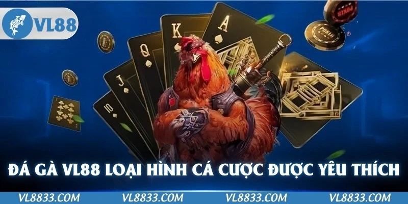Đá gà VL88 là loại hình cá cược được yêu thích