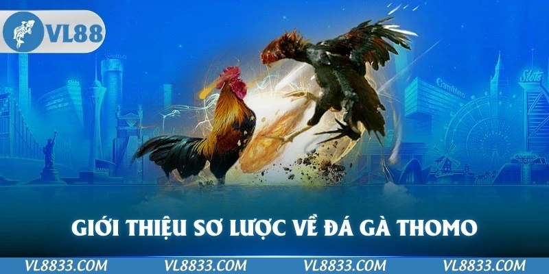 Giới thiệu sơ lược về đá gà Thomo