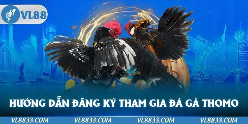 Hướng dẫn đăng ký tham gia đá gà Thomo tại VL88