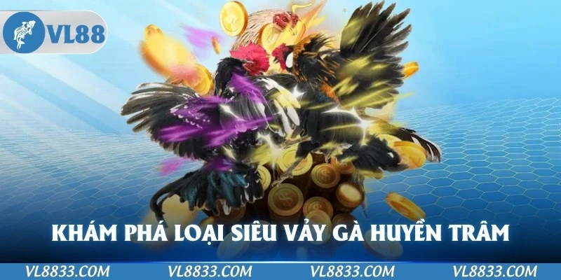 Khám phá những loại siêu vảy gà huyền trâm đặc biệt
