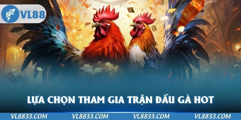Lựa chọn tham gia các trận đấu gà hot tại VL88