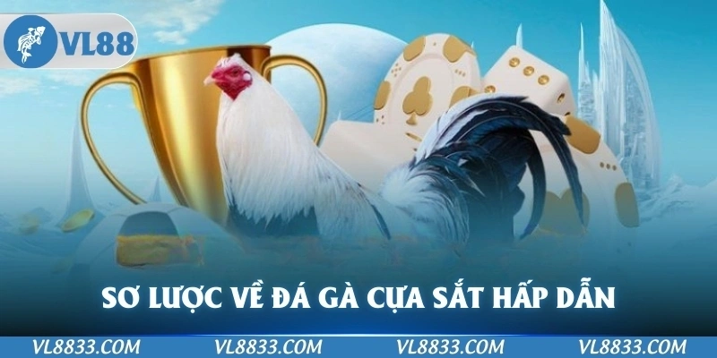 Sơ lược về loại hình đá gà cựa sắt hấp dẫn