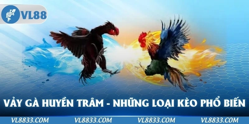 Vảy Gà Huyền Trâm - Những Loại Phổ Biến Nhất Trên VL88