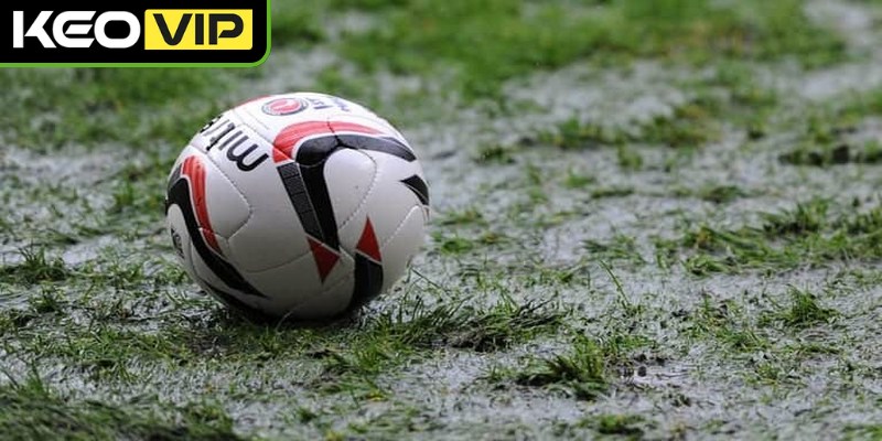 Kèo trực tuyến mang đến cơ hội thỏa đam mê sân cỏ bất tận
