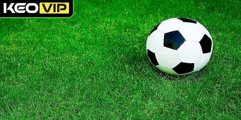 Hãy vào tiền sớm và chọn thời điểm thích hợp để chiếm ưu thế