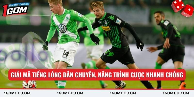 Giải mã tiếng lóng dân chuyên, nâng trình cược nhanh chóng