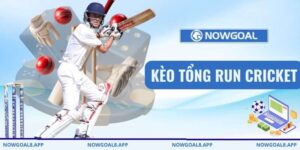 Kèo Tổng Run Cricket