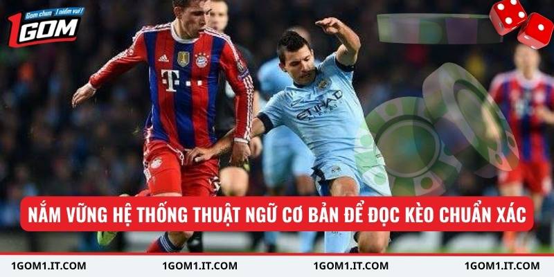 Nắm vững hệ thống thuật ngữ cơ bản để đọc kèo chuẩn xác
