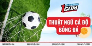 Thuật ngữ cá độ bóng đá