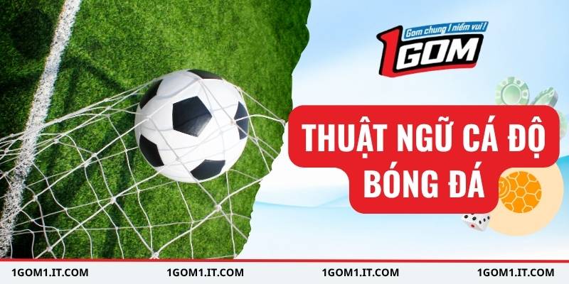 Thuật ngữ cá độ bóng đá